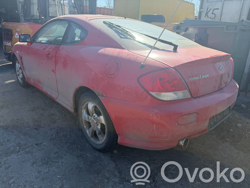 Coupe Coupe  3910123760