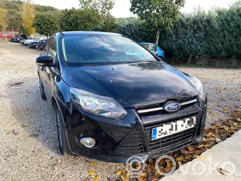 Focus Focus  921760102