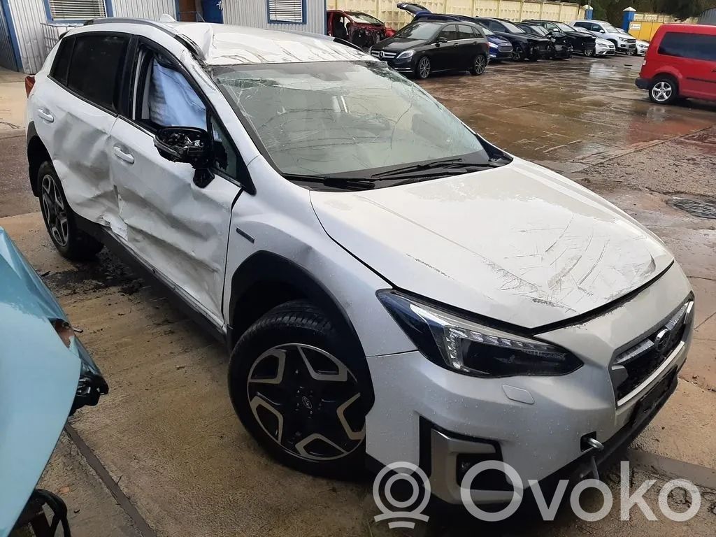 XV XV