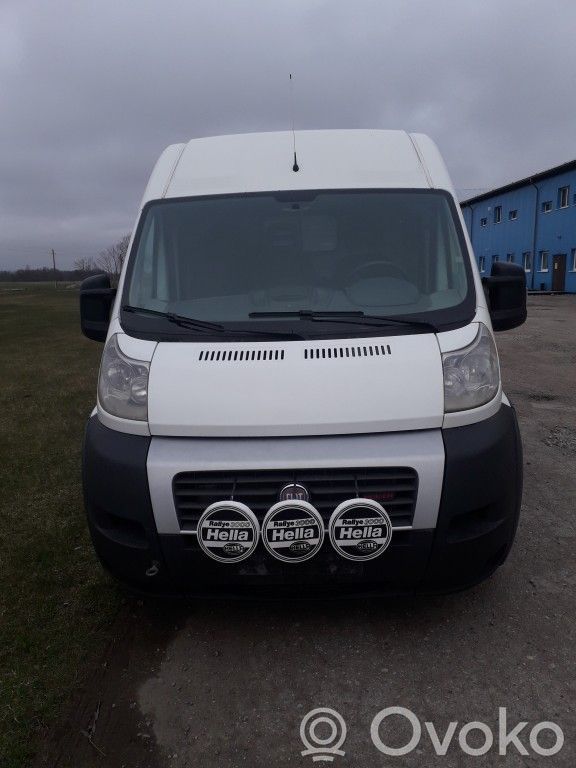 Ducato Ducato  1358088080
