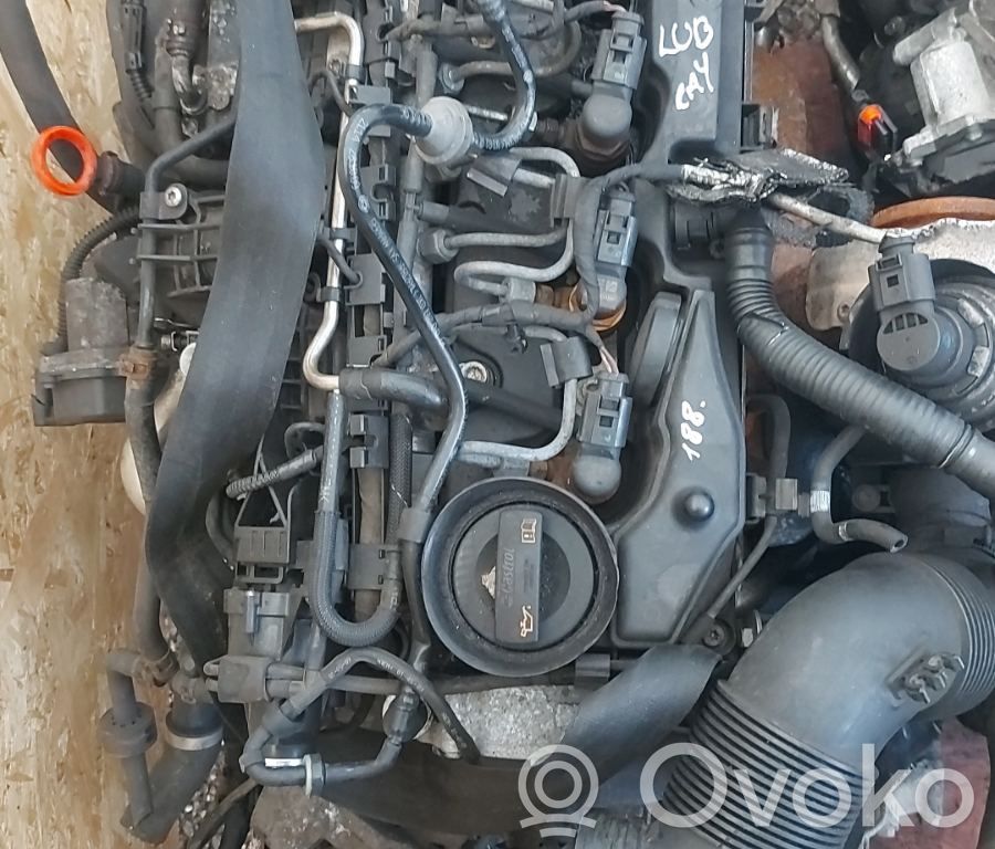 Golf VI Golf  1J0973723