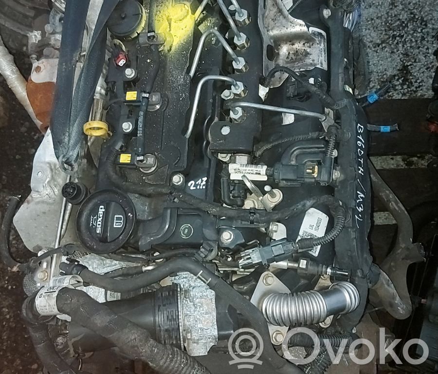 Astra K Astra  13586366