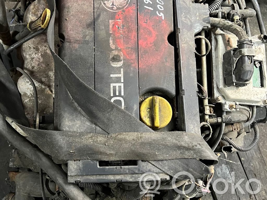 Zafira B Zafira  55353811