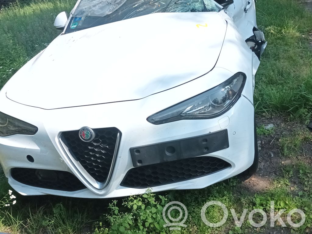 Giulia Giulia  55268427