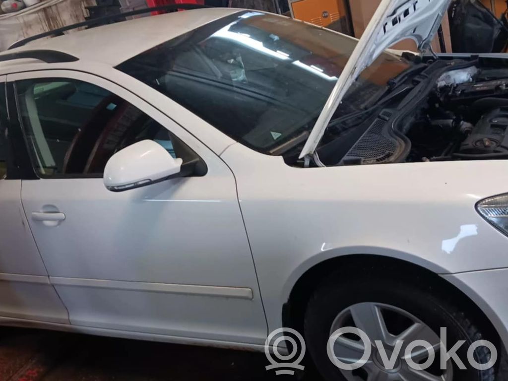 Octavia Mk2 (1Z) Octavia  0258010104