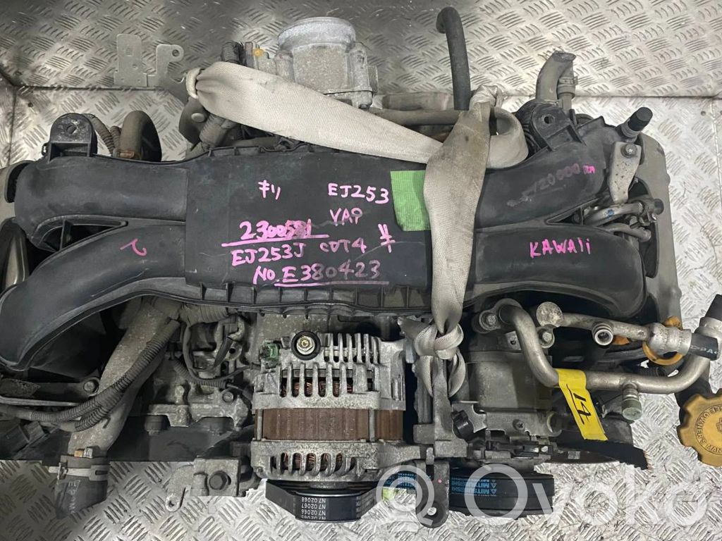 Outback Outback  EJ253