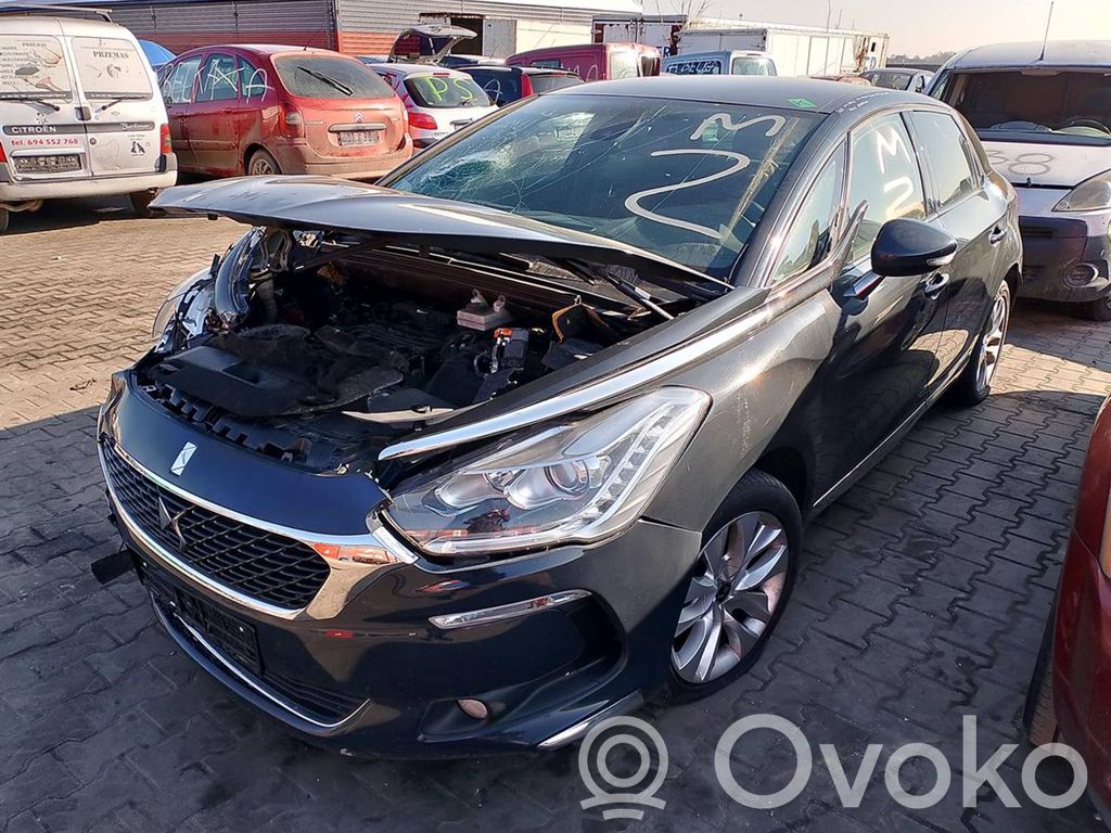 DS5 DS5