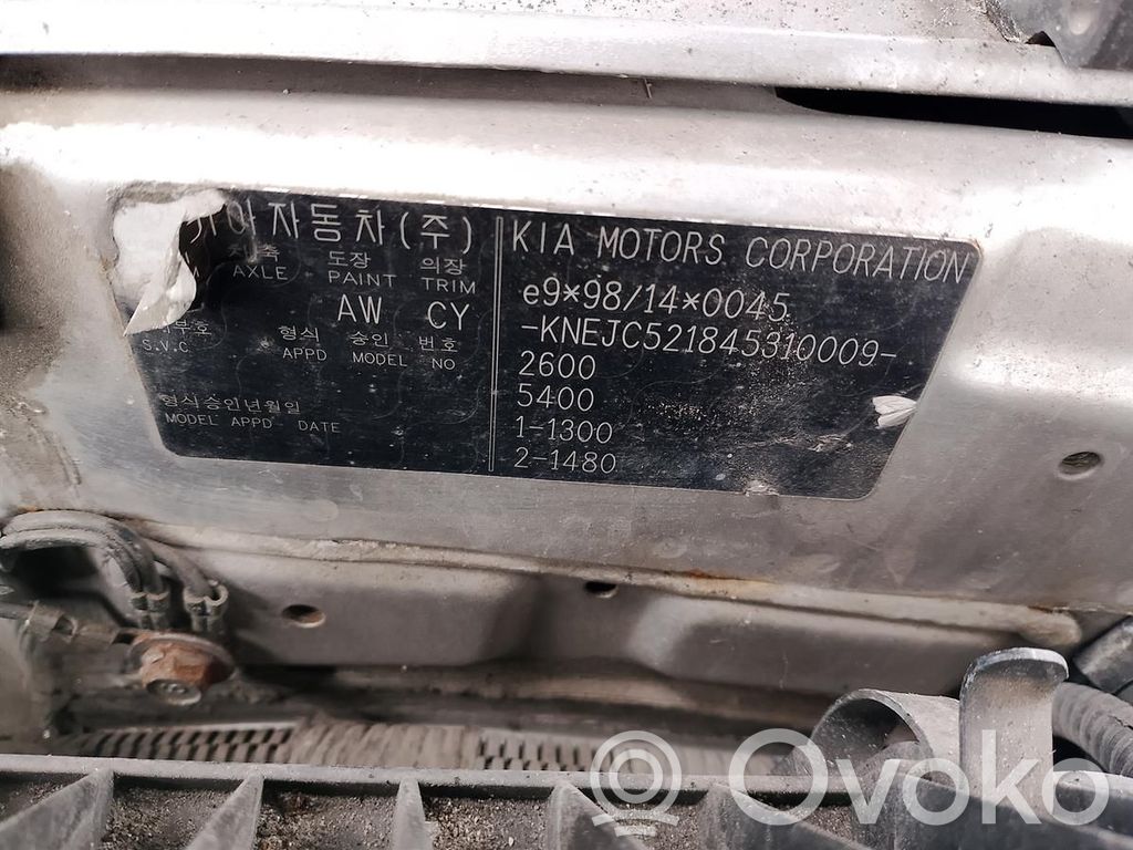 Sorento Sorento  391004A810