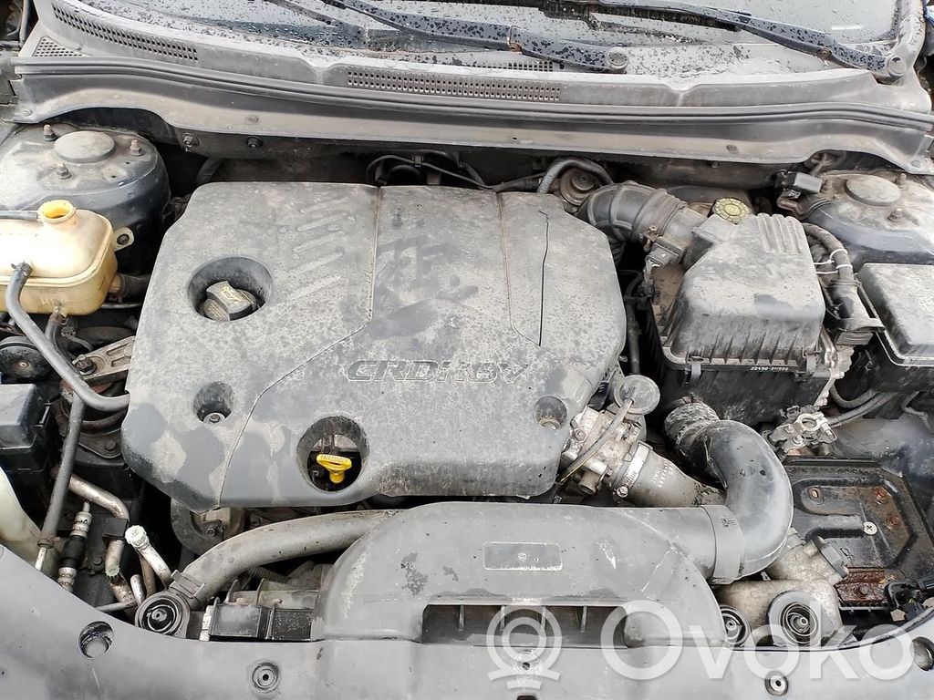 Ceed Ceed, Ceed SW, Pro Ceed  924021H3