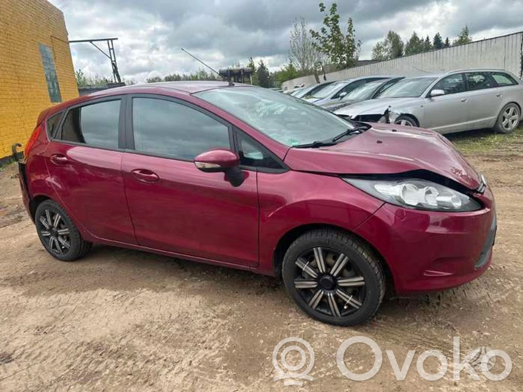 Fiesta Fiesta  5550