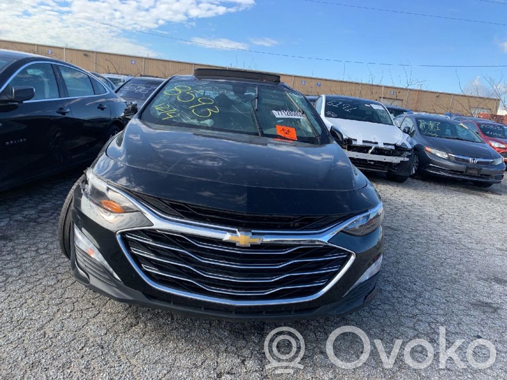 Malibu Malibu  12703745