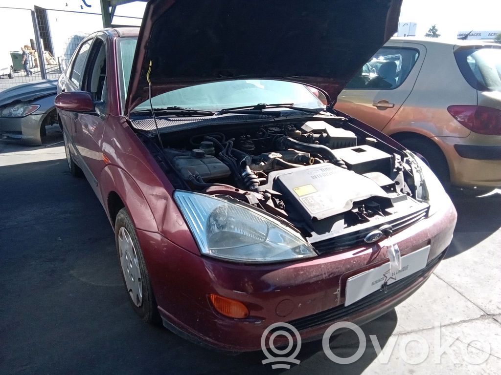 Focus Focus  1406099