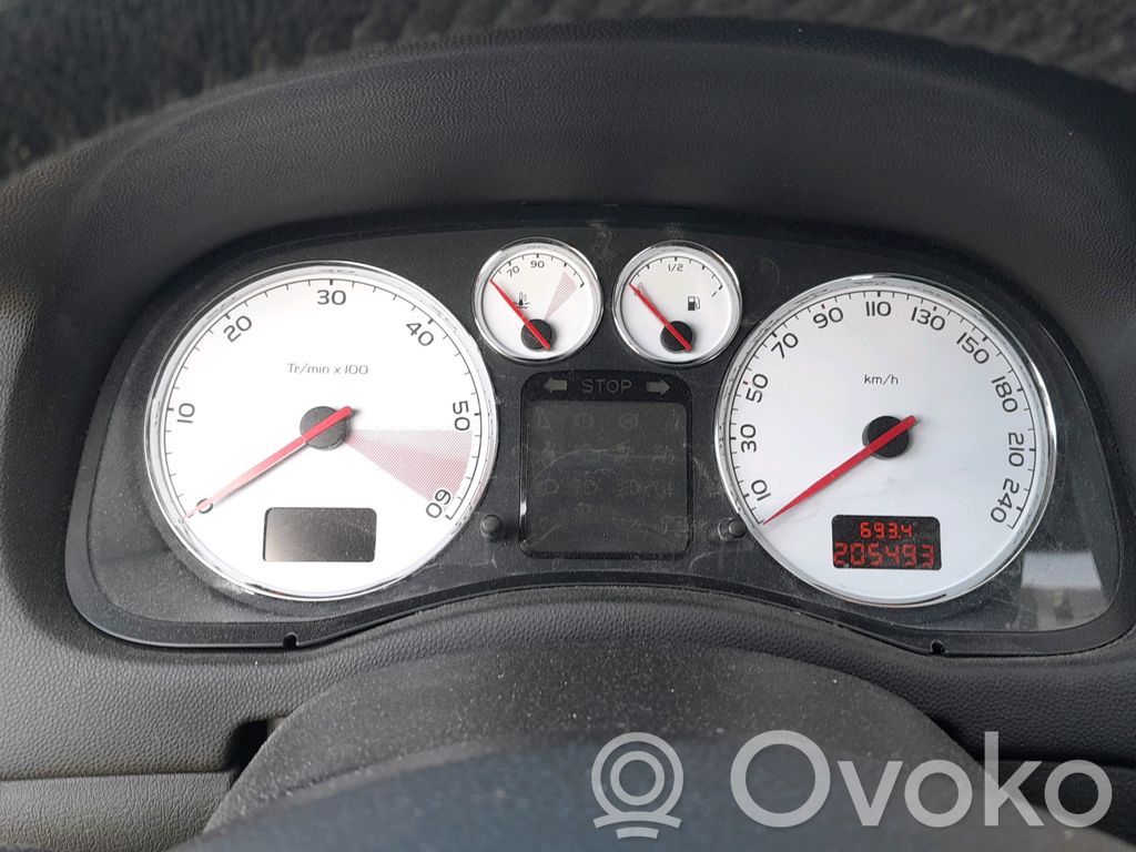 307 307  E256078