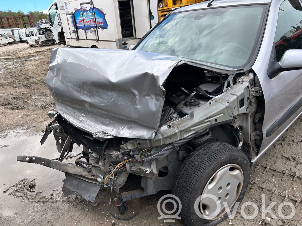 Xsara Xsara, Xsara Picasso  0139FP