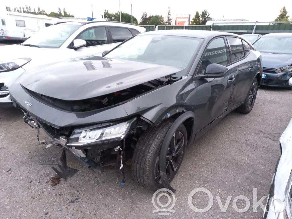 408 P54 408 crossover  9849840280