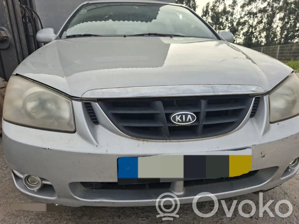Cerato Cerato  391012A110
