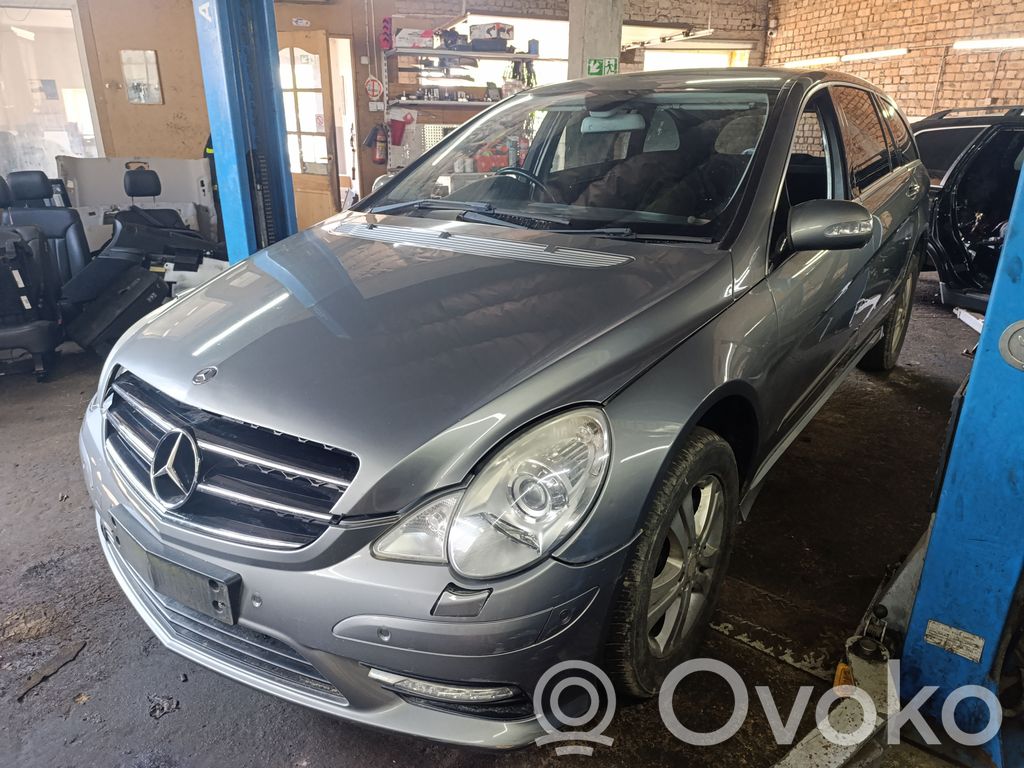 R W251 R-class, AMG (W251)  A2518100810