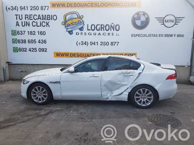 XE XE  T4A2647