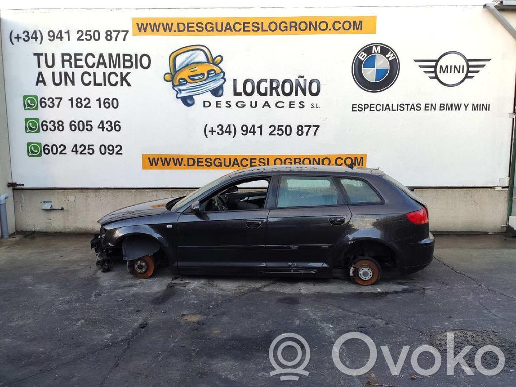 A3 S3 A3 Sportback 8P A3, S3  06D107066D