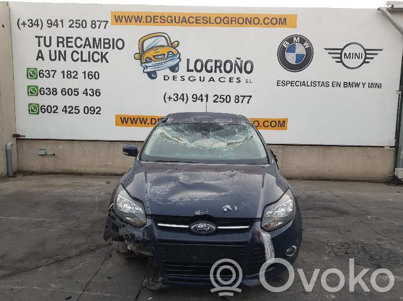 Focus Focus  1780076