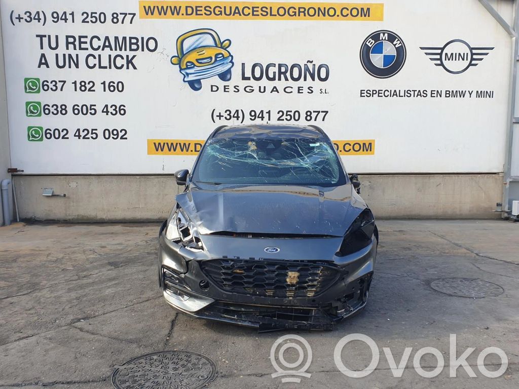 Focus Focus  2611079