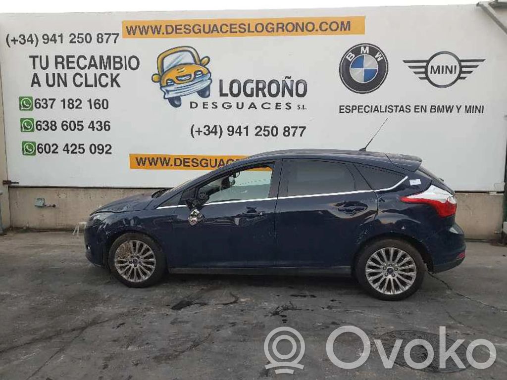 Focus Focus  1779558