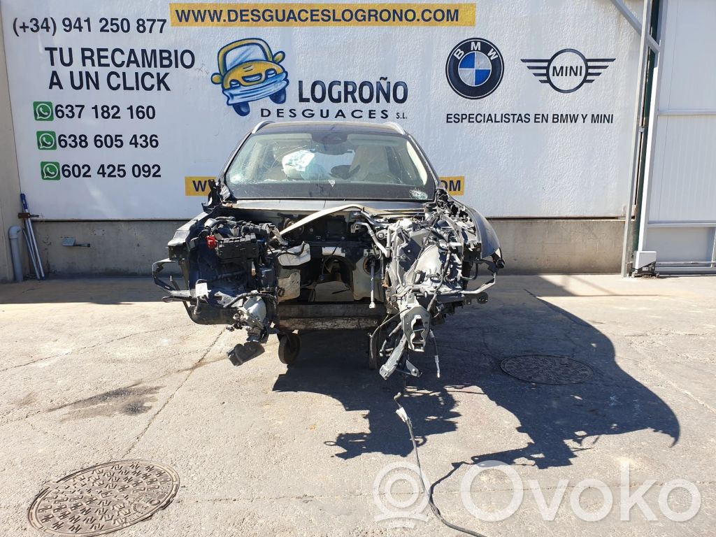 Levante Levante  670048039