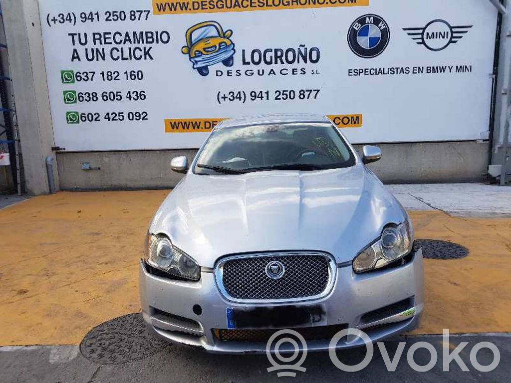 XF X250 XF  7W9319C089DA