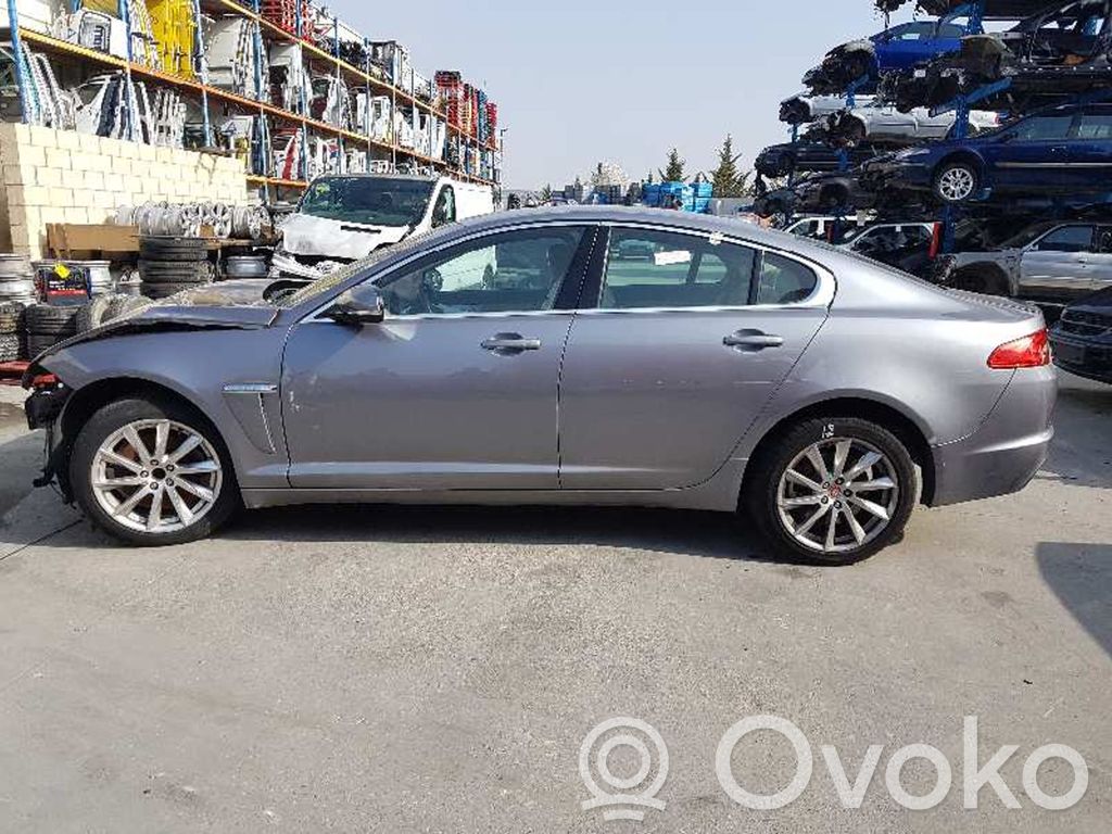 XF X250 XF  8G9N19G481AB