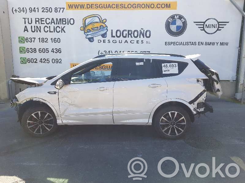 Kuga II Kuga  1833786