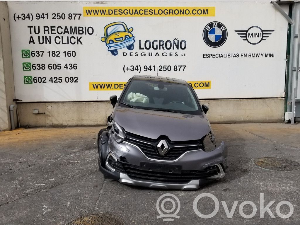 Captur Captur  254218614R