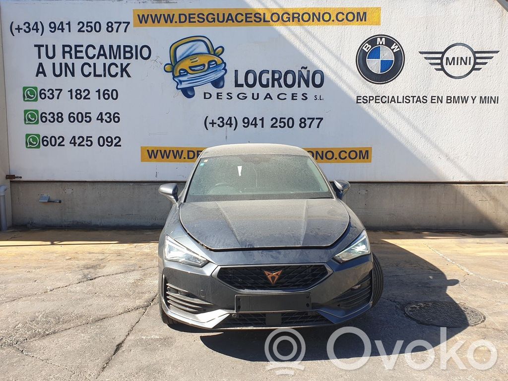 Leon Leon  5TC837015D