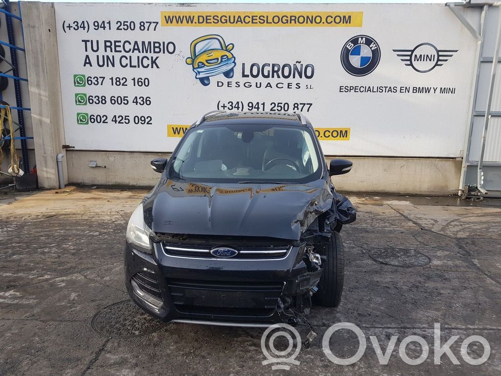 Kuga II Kuga  1736007103