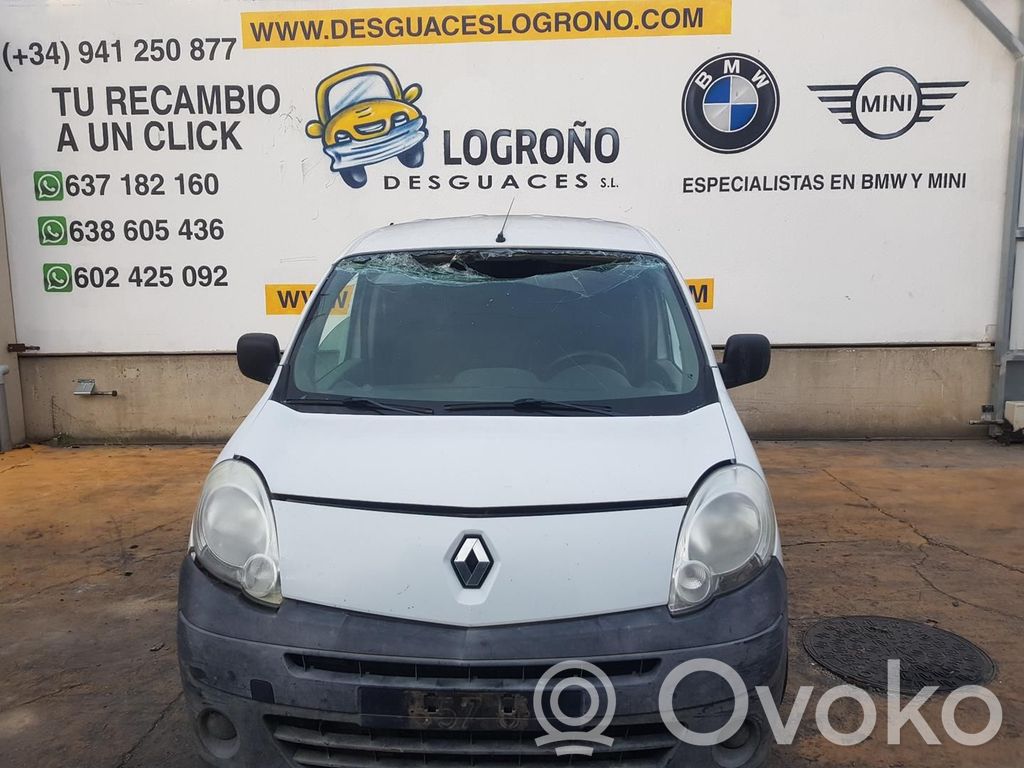 Kangoo II Kangoo  252105246R