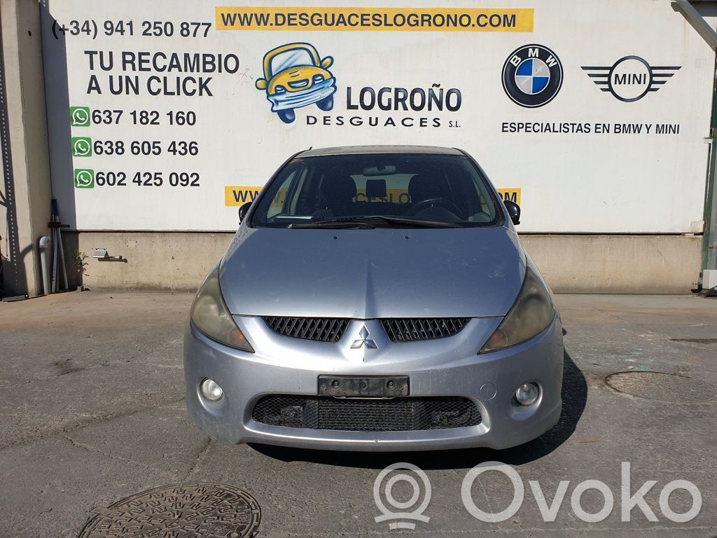 Grandis Grandis  MN141066