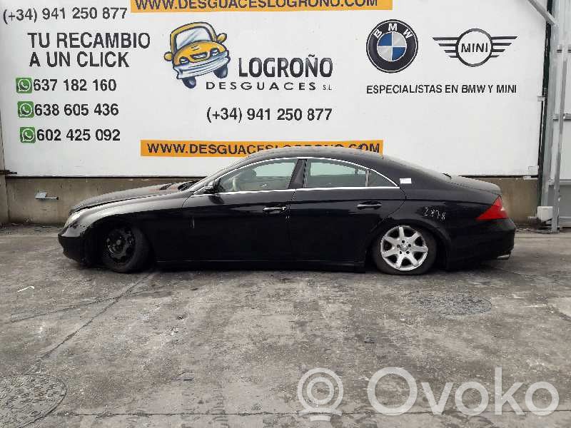 CLS C219 CLS-class, AMG (W219,C218/X218)  2196800687