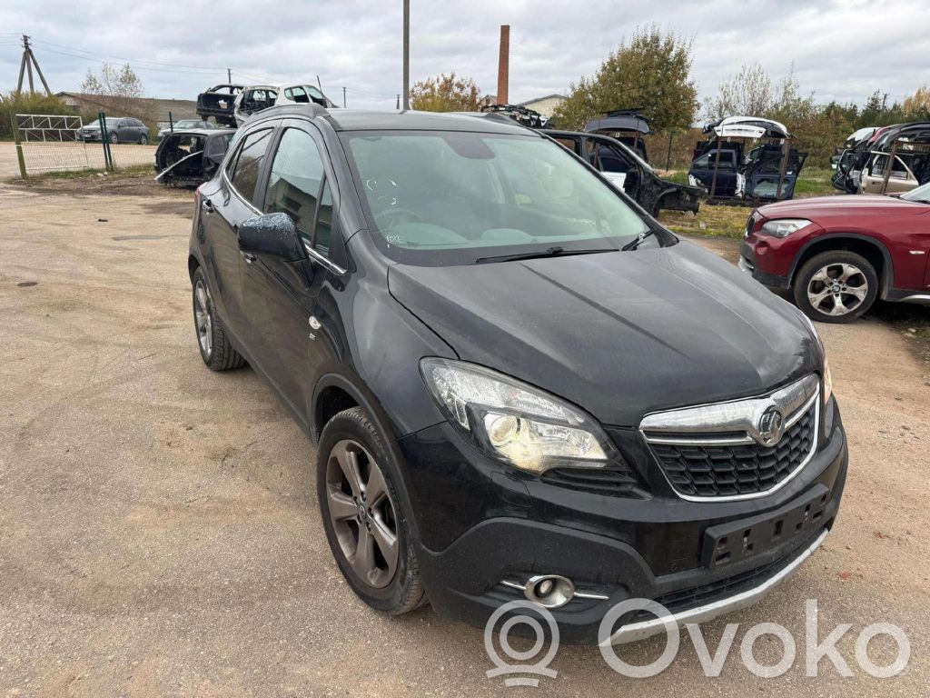 Mokka Mokka  21092612