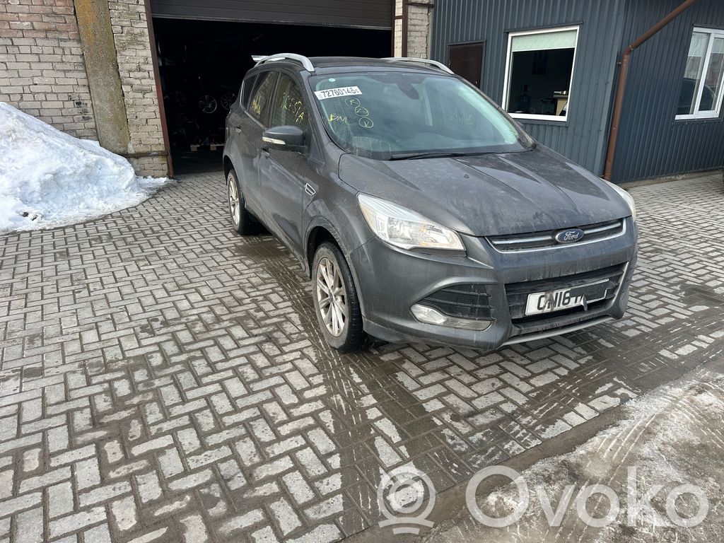 Kuga II Kuga  304021
