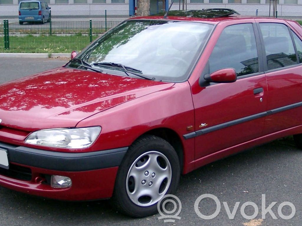 306 306  60975830