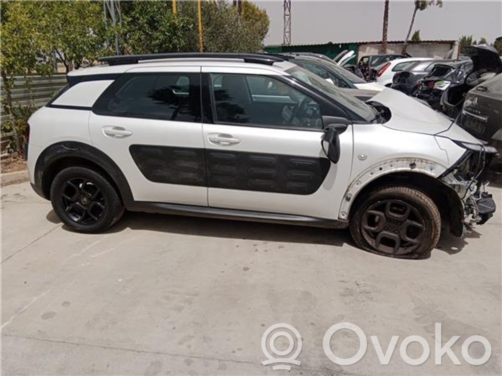 C4 Cactus C4 Picasso, Grand Picasso, Aircross, Cactus  BH02