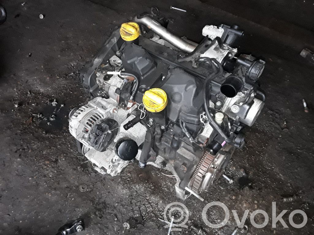 Modus Modus  8200098310