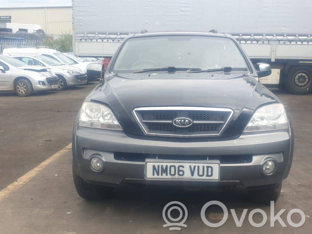 Sorento Sorento  954404C035