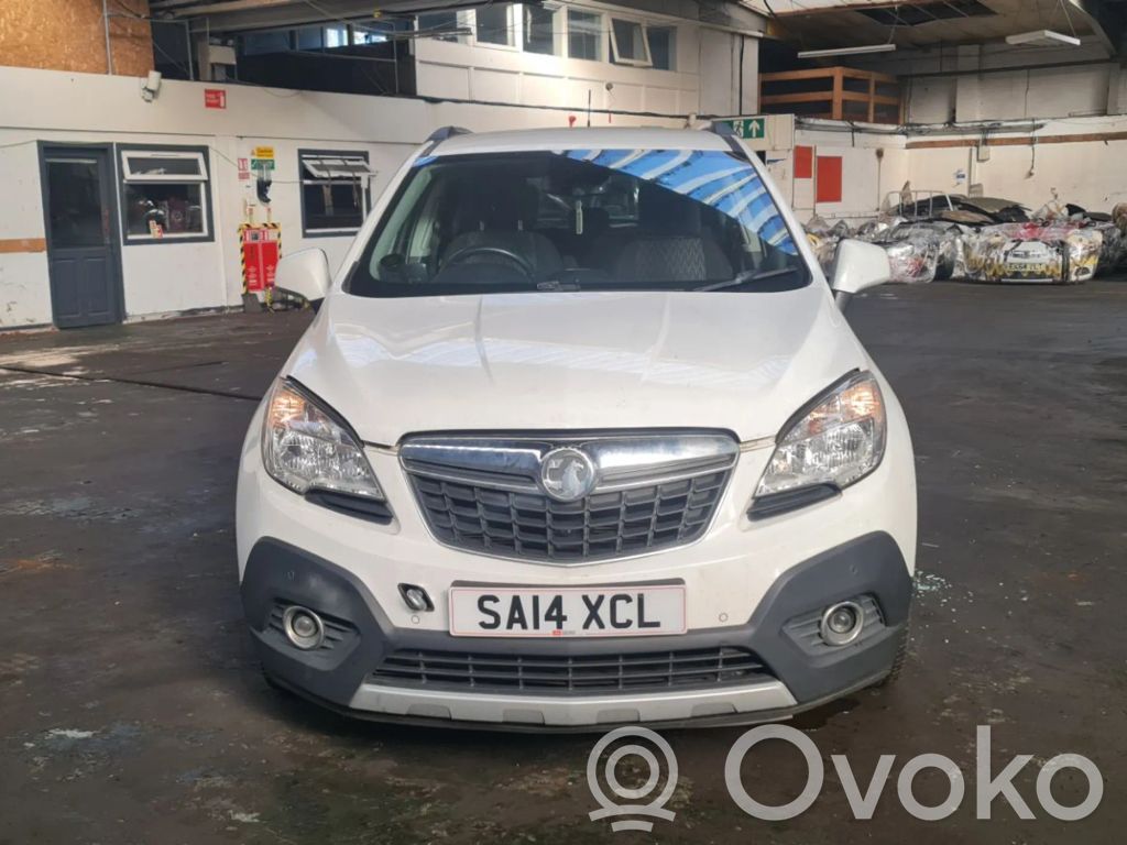 Mokka Mokka  21092612