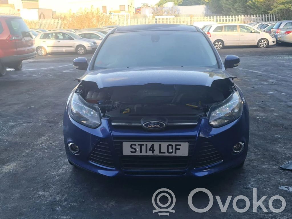 Focus Focus  3V009491