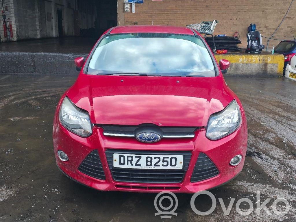 Focus Focus  3135103743