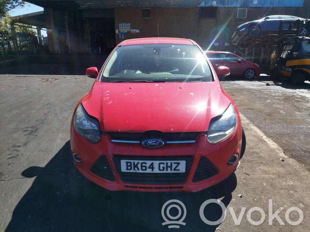 Focus Focus  20140705