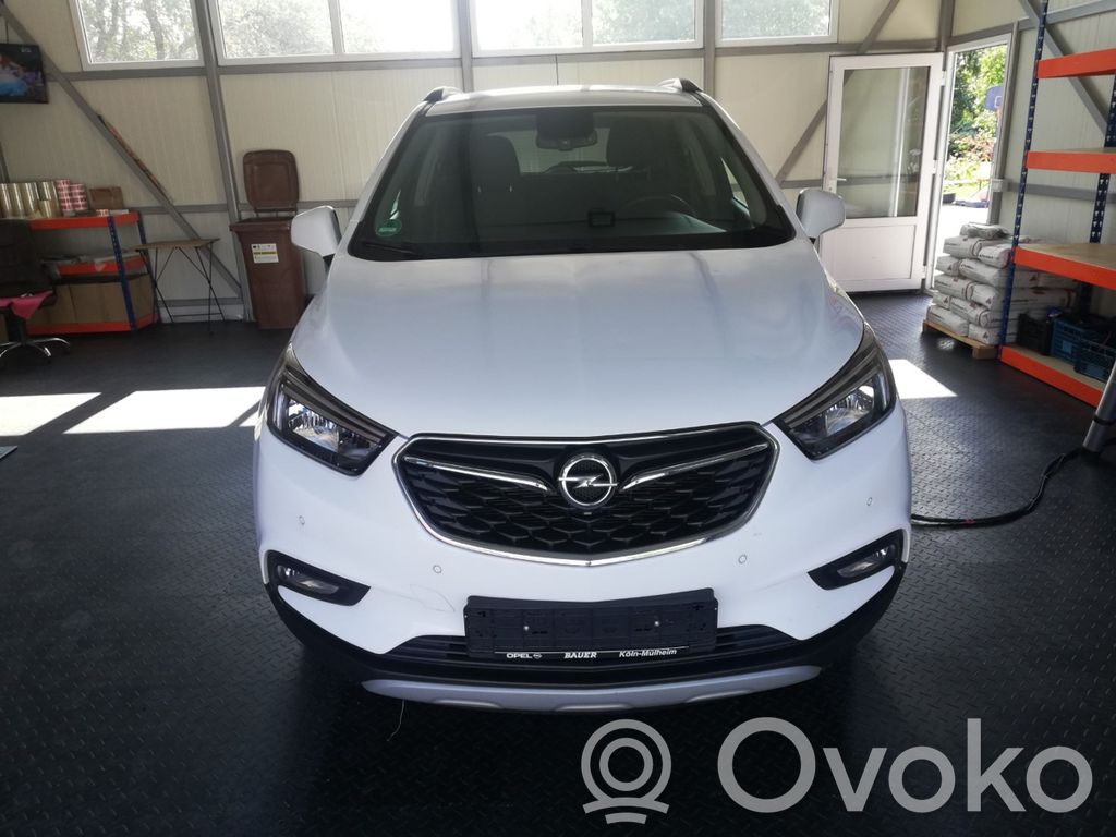 Mokka X Mokka  25954331