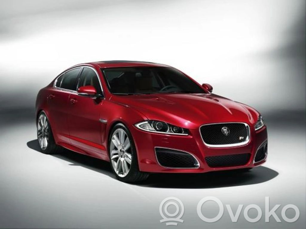 XF XF  50645928AA