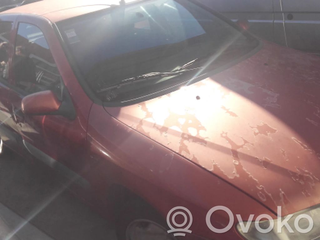 Xsara Xsara, Xsara Picasso