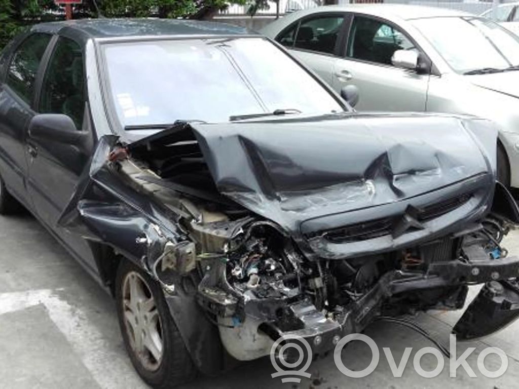 Xsara Xsara, Xsara Picasso